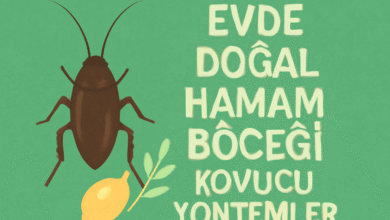 Evde Doğal Hamam Böceği Kovucu Yöntemler
