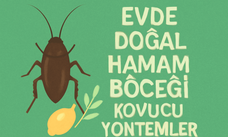 Evde Doğal Hamam Böceği Kovucu Yöntemler