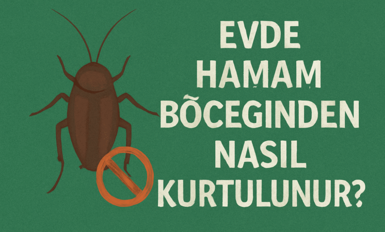 Evde Hamam Böceğinden Nasıl Kurtulunur?