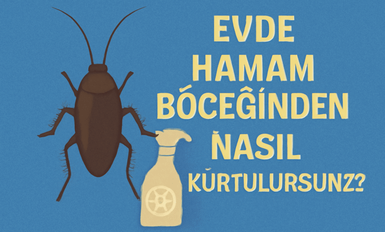 Evde Hamam Böceğinden Nasıl Kurtulursunuz