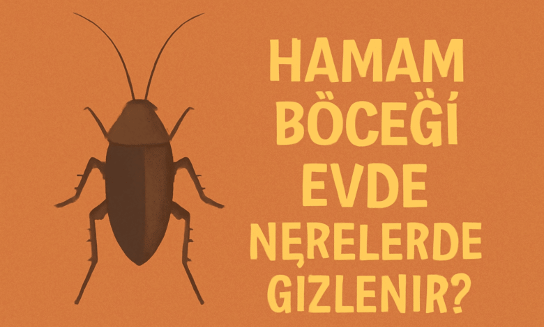 Hamam Böceği Evde Nerelerde Gizlenir