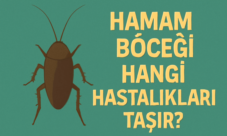 Hamam Böceği Hangi Hastalıkları Taşır