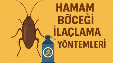 Hamam Böceği İlaçlama Yöntemleri