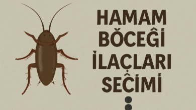 Hamam Böceği İlaçları Seçimi