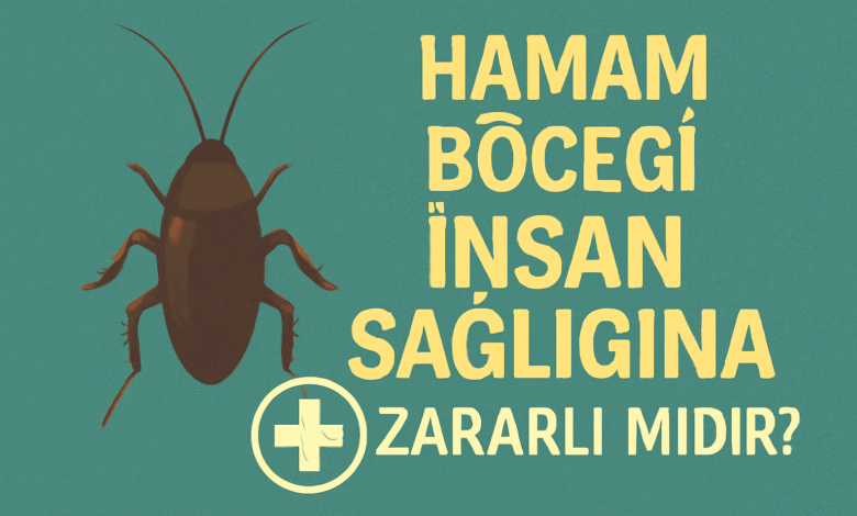 Hamam Böceği İnsan Sağlığına Zararlı Mıdır