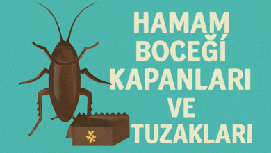 Hamam Böceği Kapanları ve Tuzakları