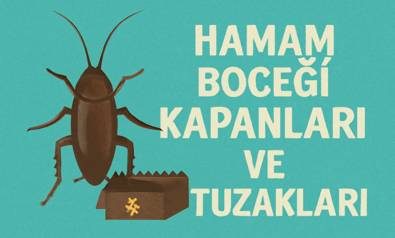 Hamam Böceği Kapanları ve Tuzakları