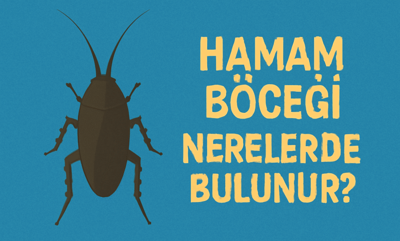 Hamam Böceği Nerelerde Bulunur