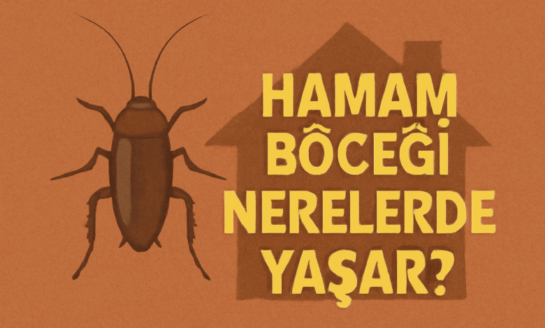Hamam Böceği Nerelerde Yaşar