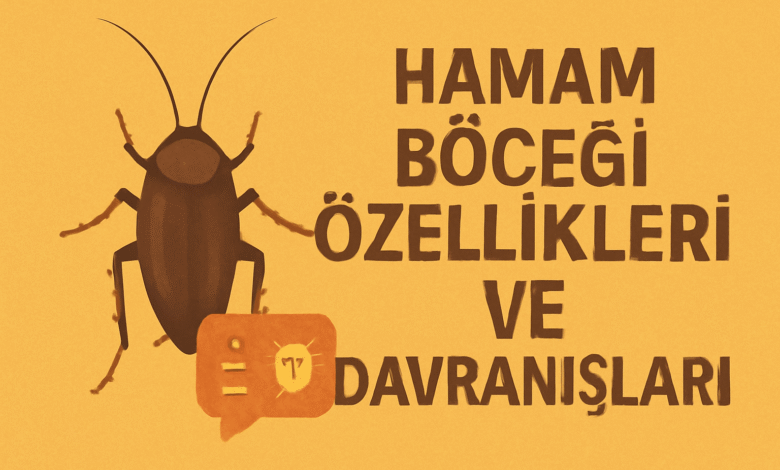 Hamam Böceği Özellikleri ve Davranışları