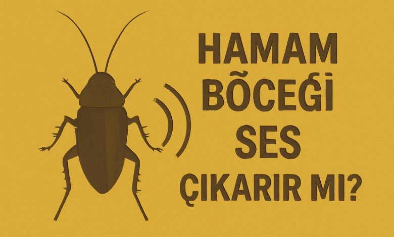 Hamam Böceği Ses Çıkarır Mı