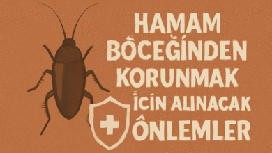Hamam Böceğinden Korunmak İçin Alınacak Önlemler